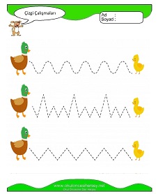 Çizgi Çalışma Sayfaları